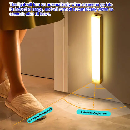 Cordless Motion Sensor Light