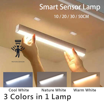 Cordless Motion Sensor Light